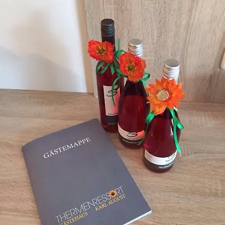 Bed and Breakfast Gaestehaus Karl August 3*